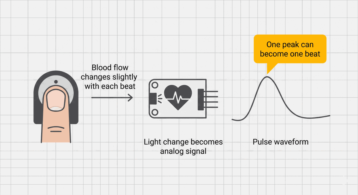 Blood flow change becoming a pulse waveform